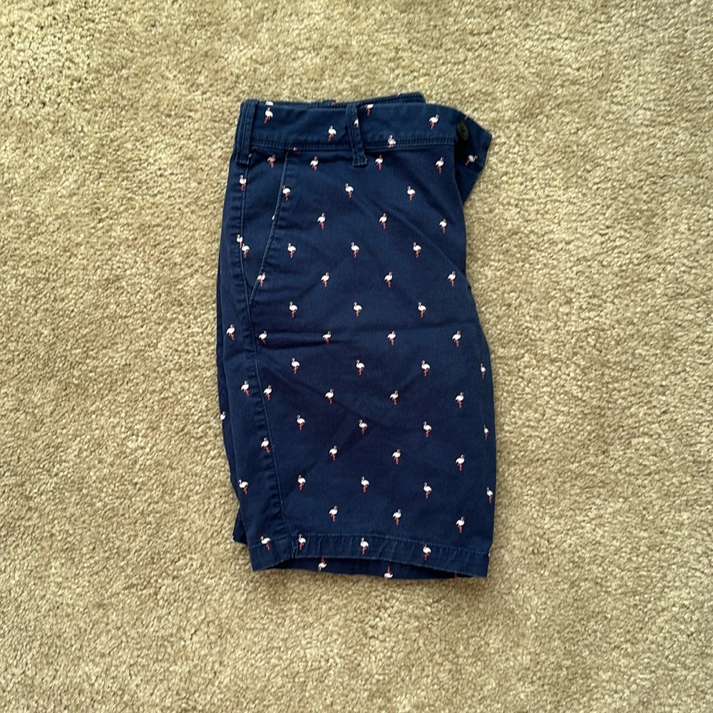 Men’s express shorts with flamingos